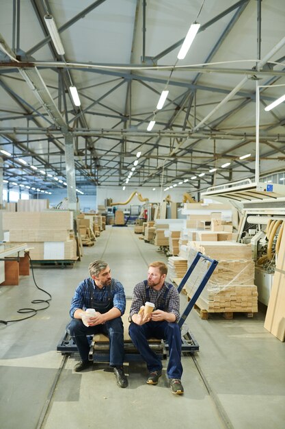 Lavoratori di mobili che riposano in pausa