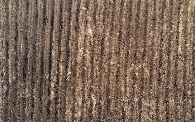 Furrow soil in plowed field prepared for farming