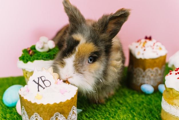 A furry brown little rabbit on a background of grass and a pastel pink background. Easter card.