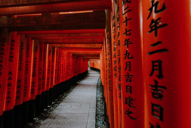 The fushimi-inari path in Kyoto