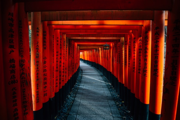 Il percorso fushimi-inari a kyoto