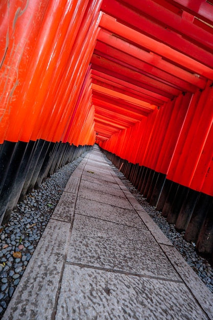 Photo fushimi inari shrine in kyoto