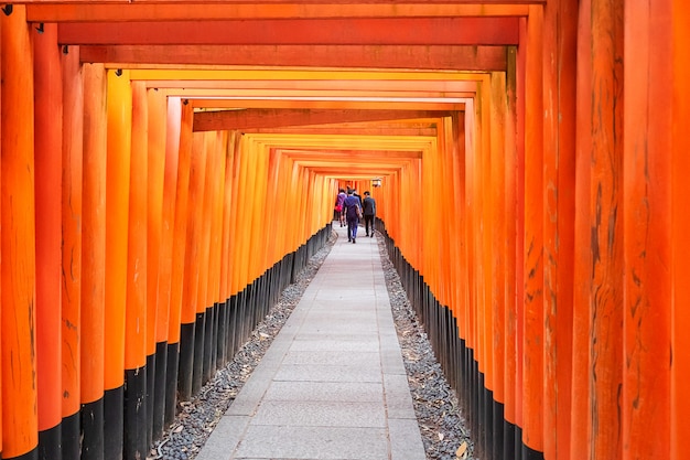 Fushimi Inari-taisha-schrijn, meer dan 5000 levendige oranje toriipoorten. het is een van de meest populaire heiligdommen in Japan. landmark en populair voor toeristische attracties in Kyoto. Kansai, Japan