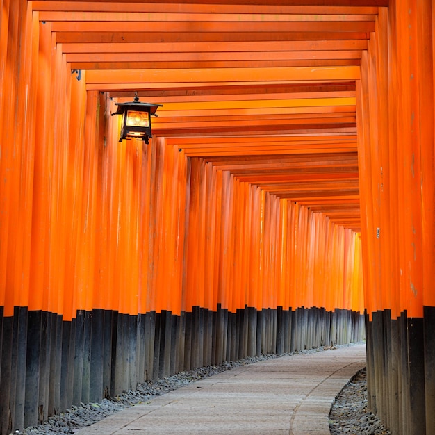 Fushimi Inari Taisha Shrine torii gates in Kyoto Japan