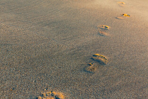 Futprints on the sand