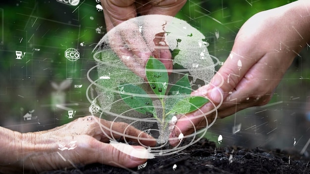Сохранение окружающей среды в будущем и устойчивое развитие модернизации ESG