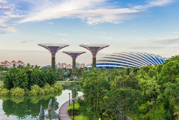 Futuristic view of amazing illumination at Garden by the Bay 