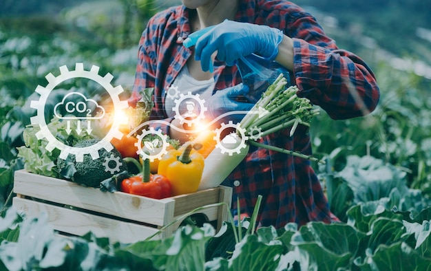 Futuristische zakenman kweekt groenten en gewassen met behulp van moderne AI-technologie met behulp van mobiele telefoons temperatuur- en vochtigheidssensoren watertracking klimaatbeheersing holografische gegevensgegevenspictogrammen