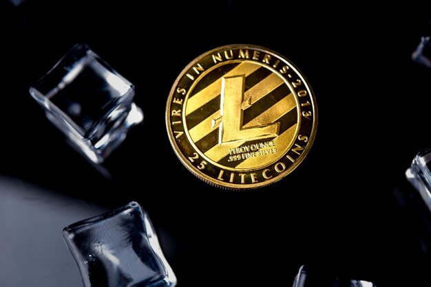 Fysieke versie van gouden Litecoin virtueel geld voor internetbetalingen