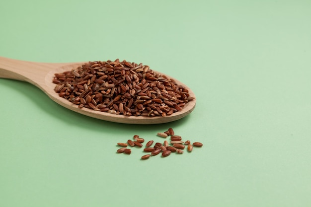 GABA rice in wooden spoon, close-up. Germinated brown rice.