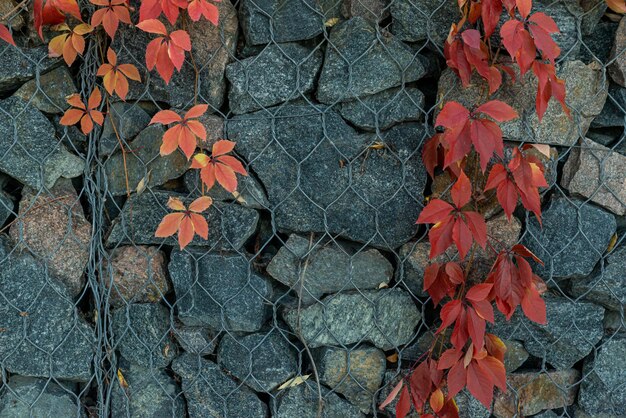 Gabion fence wall from steel mesh with stones