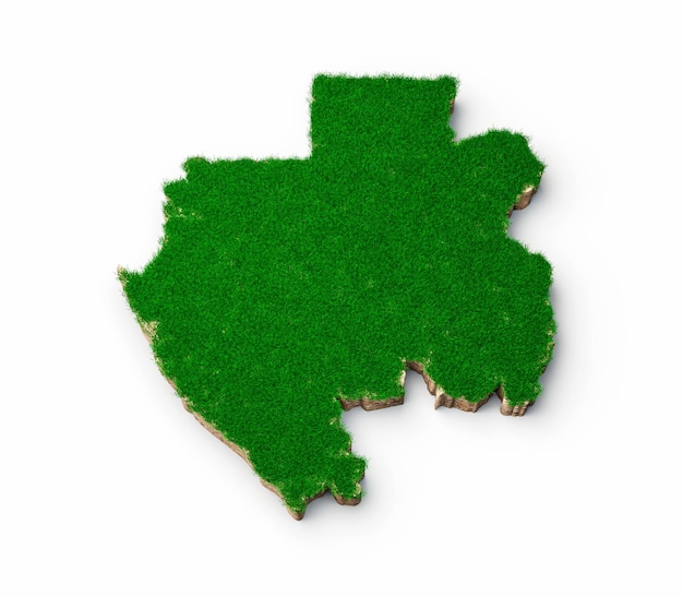 Gabon kaart bodem land geologie dwarsdoorsnede met groen gras en rotsgrond textuur 3d illustratie