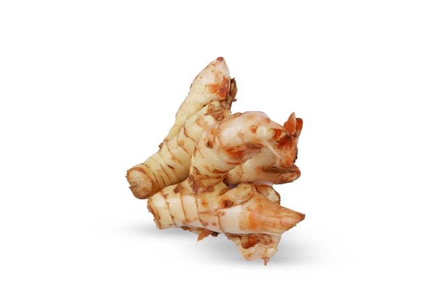 Galangal 또는 Alpinia galanga 흰색 배경에 고립