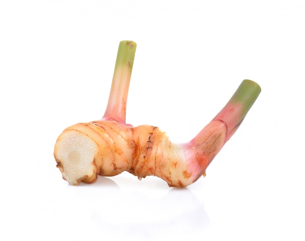 사진 galangal 절연입니다.