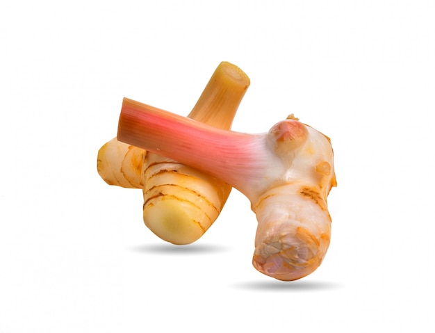 Galangal 뿌리 줄기는 흰색 배경에 고립