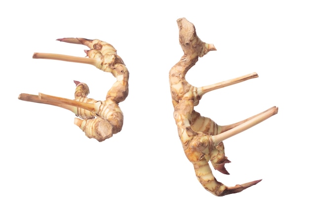 Galangal vliegen in de lucht verse groente kruiden galangal vallen biologische verse kruiden galangal wortel