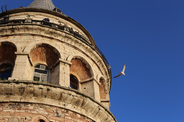 Foto galata toren dak meeuw istanbul