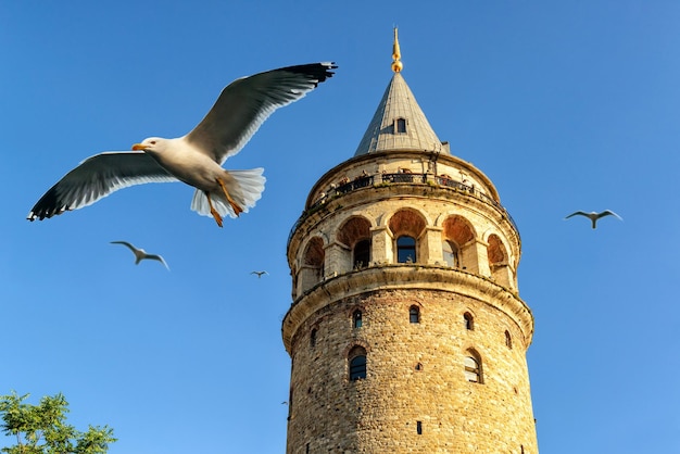 Galatatoren Istanboel Turkije