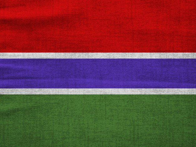 Gambian flag