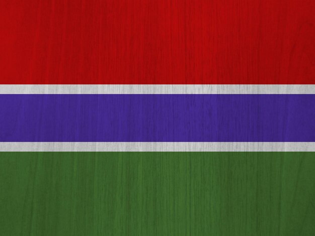 Gambian flag