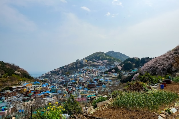 Gamcheon Culture Village facade in Busan,Korea.