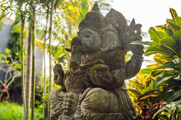 Ganesha bedekt met mos in het park