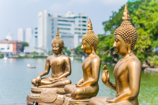 Photo gangarama seemamalaka temple at colombo sri lanka