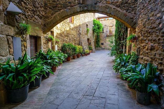 Gangen met stenen arcades en middeleeuwse huizen in een schilderachtige stijl en van grote schoonheid Monells Girona Catalonië