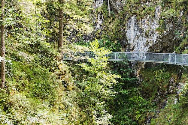 Passerella di gola che attraversa valli verdi sul fiume