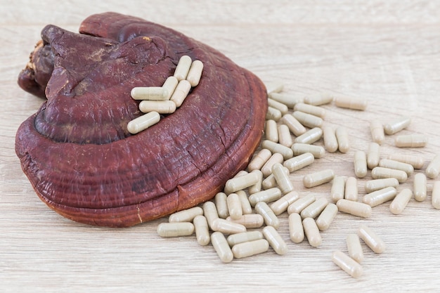 Ganoderma lucidum capsule Ling zhi mushroom