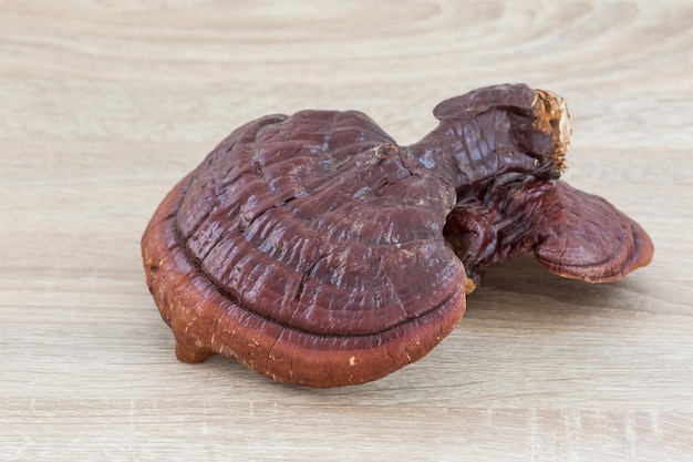 Photo ganoderma lucidum mushroom on wood background