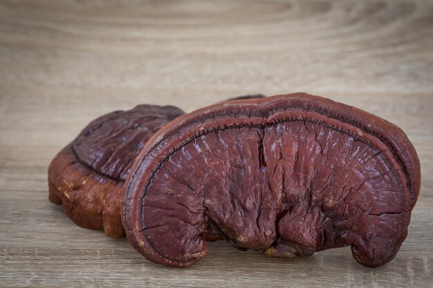 Ganoderma Lucidum Paddenstoel op houten achtergrond