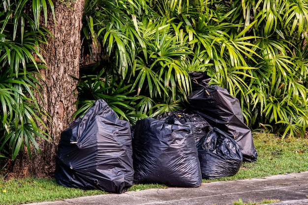 Garbage bag nature background of vertical garden with tropical green leaf