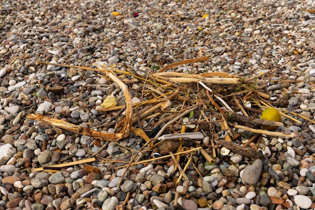 Garbage on the beach after the storm