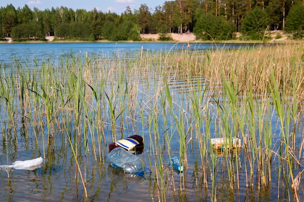 ビーチの背景にある湖のゴミ