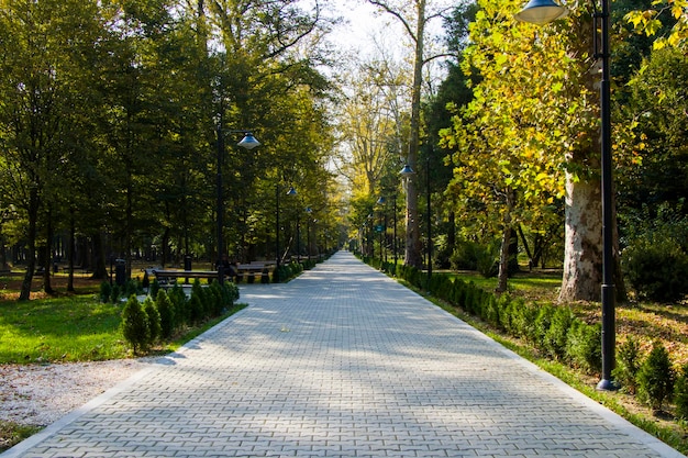 Фото Сад и парк ботанический сад зугдиди в грузии