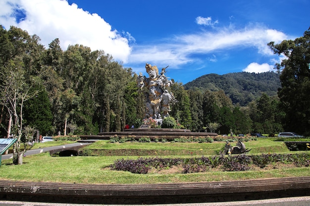 The garden on Bali island, Indonesia