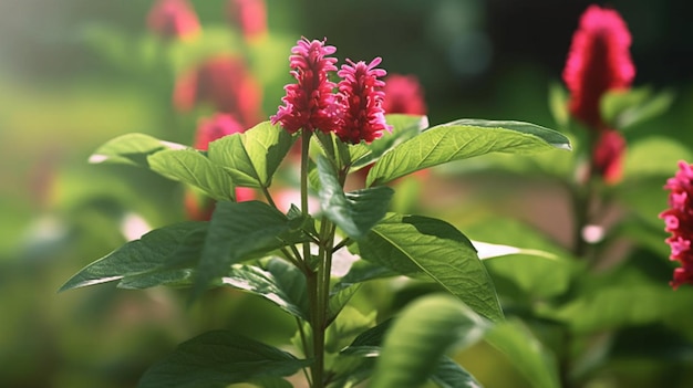 自然の背景に美しく咲いたホウセンカの花 生成 AI