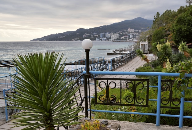 Garden on The black sea near Yalta Decorative garden with subtropical vegetation in autumn