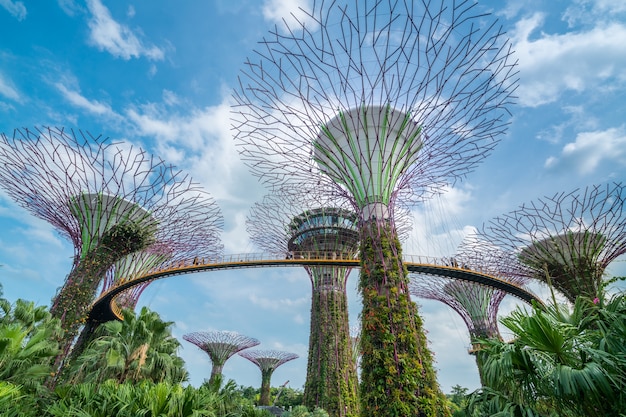 Photo garden by the bay - singapore