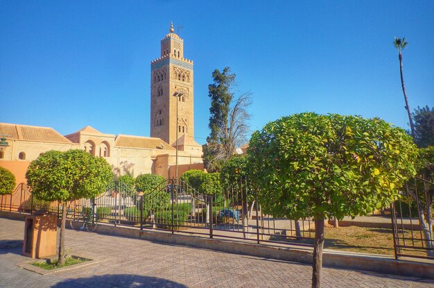 Garden by building against clear blue sky