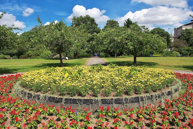 Il giardino nella città di cardiff wales uk