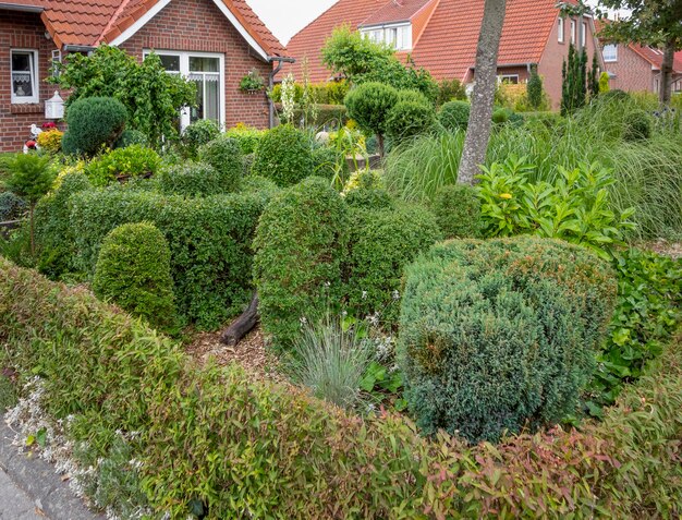 Garden in Carolinensiel