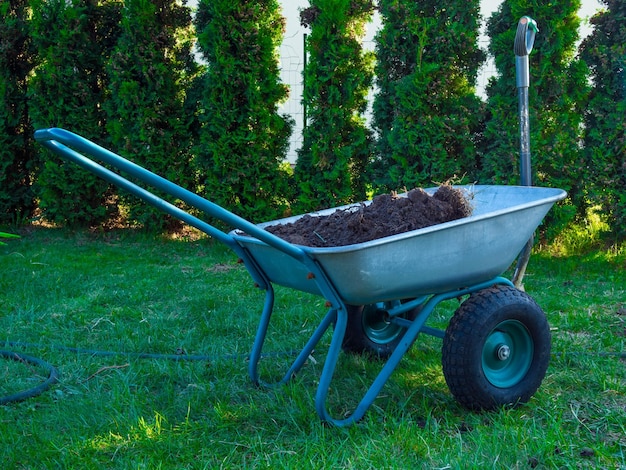 Garden cart for planting palnt in the garden with shovel green tree