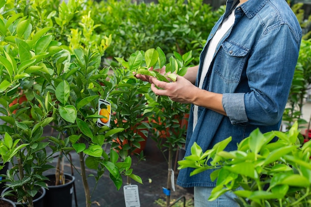 植物や花を販売するガーデン センター