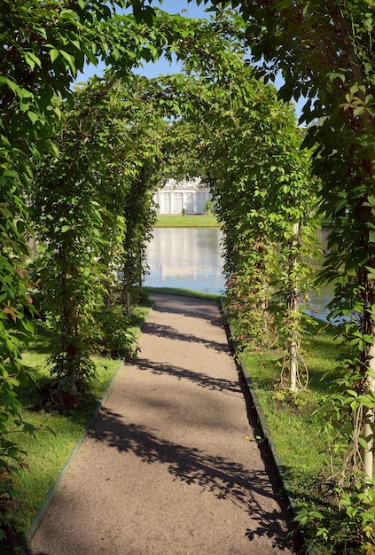 Garden at the chinese palace garden pergola covered with\
greenery