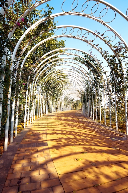 Garden and corridors