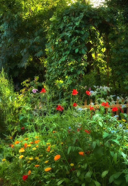 Мечты о саду Ярко-зеленый сад с яркими цветами на открытом воздухе в весенний день Красивая пышная листва в парке в солнечный летний день Красочные растения в природе во время утреннего восхода солнца