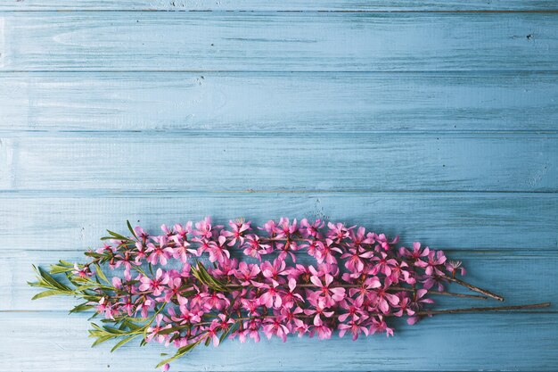 Garden flowers over blue wooden table background