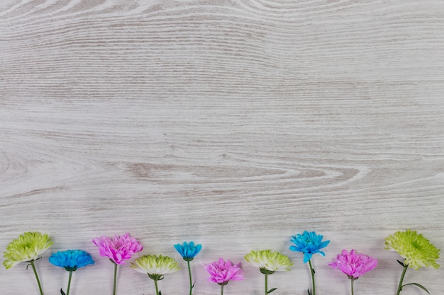 Garden flowers composition on wooden table with text space